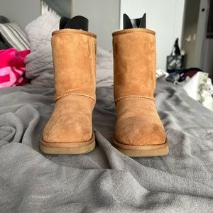 Size 8 chestnut UGG Classic short